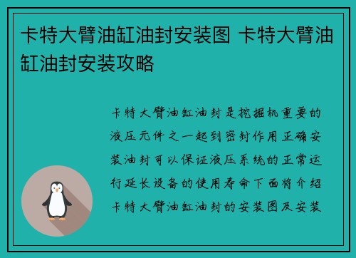 卡特大臂油缸油封安装图 卡特大臂油缸油封安装攻略
